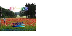 Qポピーの旅